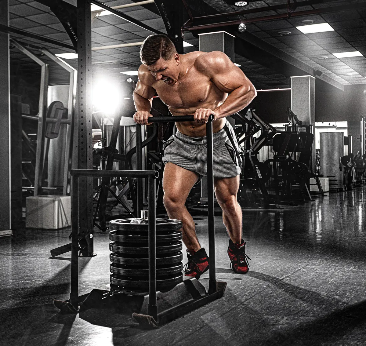 L-Arginine